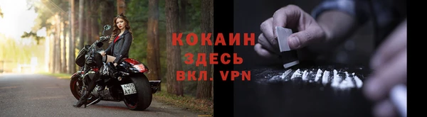 мяу мяу мука Баксан