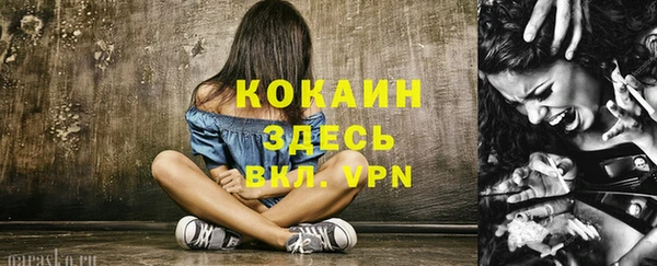 мяу мяу мука Баксан