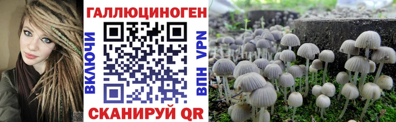 Псилоцибиновые грибы Psilocybe  Вольск 