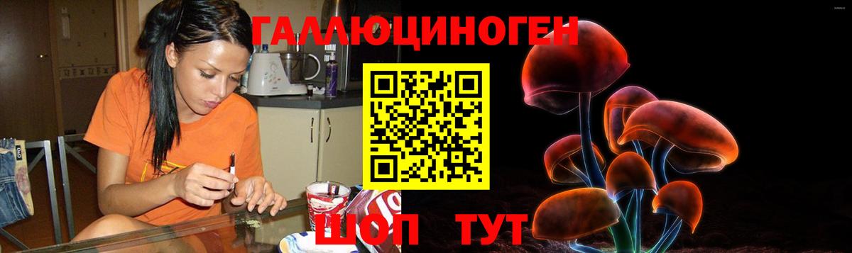 Псилоцибиновые грибы Psilocybe  Вход с VPN  купить наркотики сайты  Вольск 